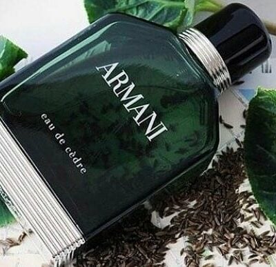 6 Best Pine Colognes For Men In 2026