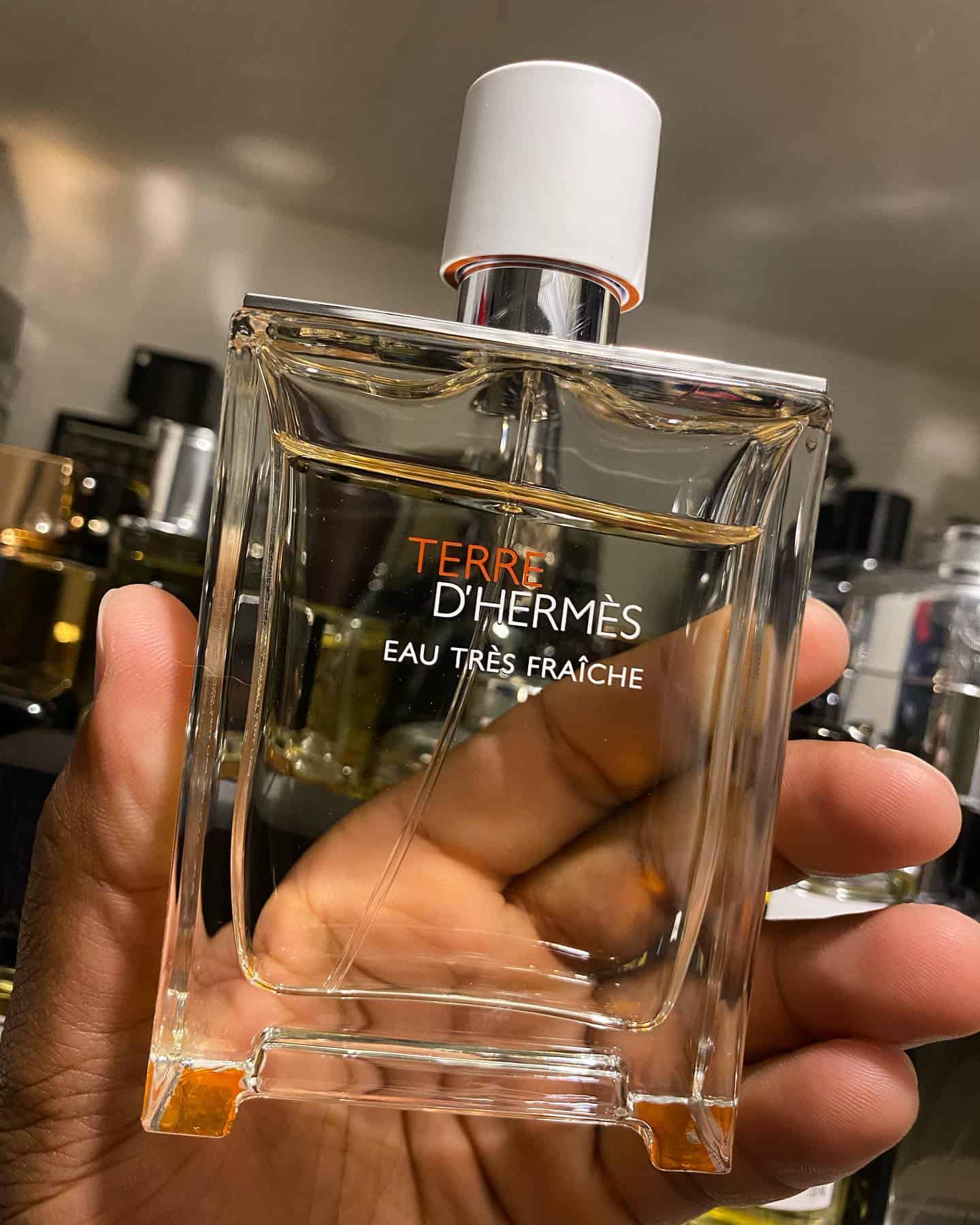 holding a bottle of terre d hermes