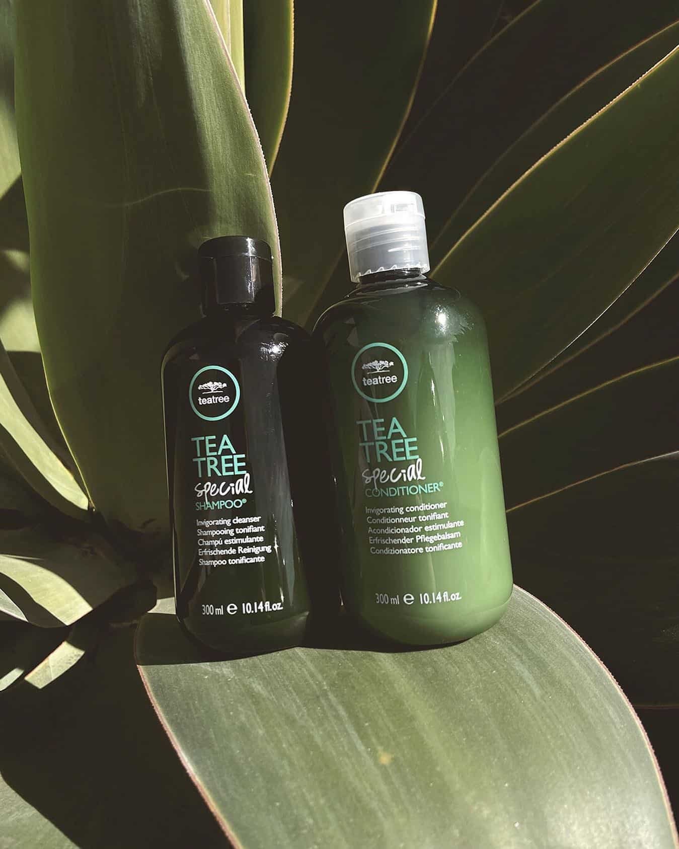 a bottle of shampoo and conditioner by tea tree