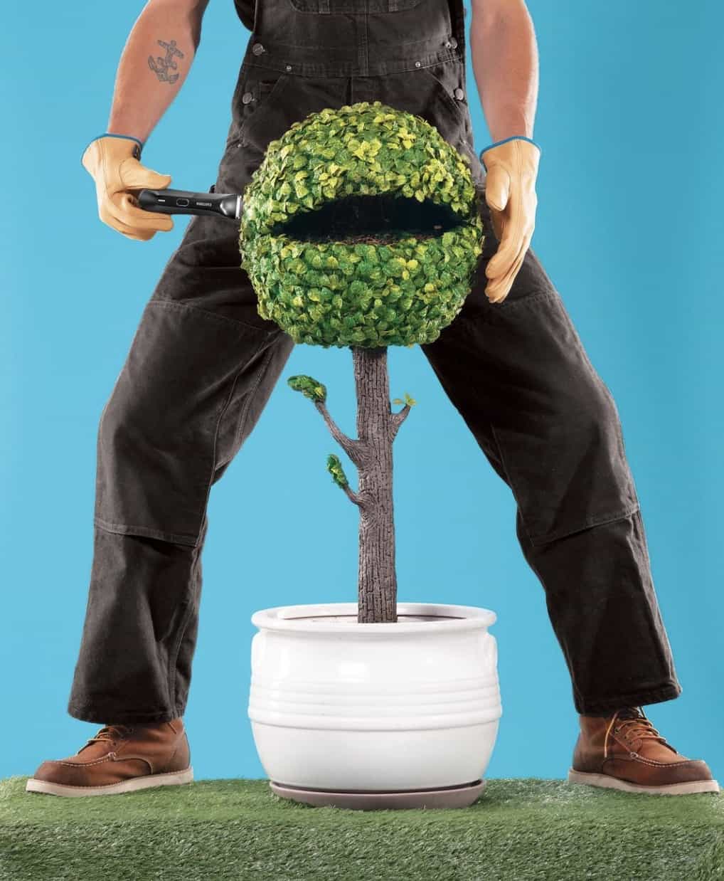 man trimming plant with trimmers