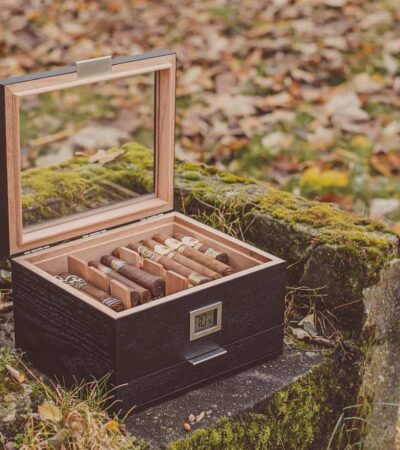 7 Best Cigar Humidors To Keep Things Fresh in 2026