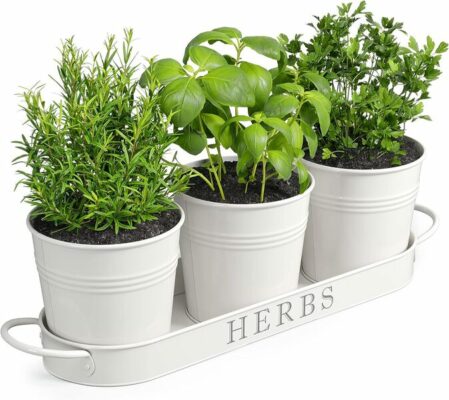 Barnyard Designs Indoor Outdoor Herb Garden Planter Set