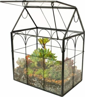 ELEGANTLIFE Glass Geometric Plant Terrarium