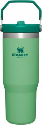 Stanley IceFlow Stainless Steel Tumbler