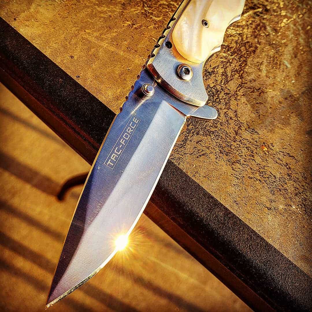 a folding knife by tac force