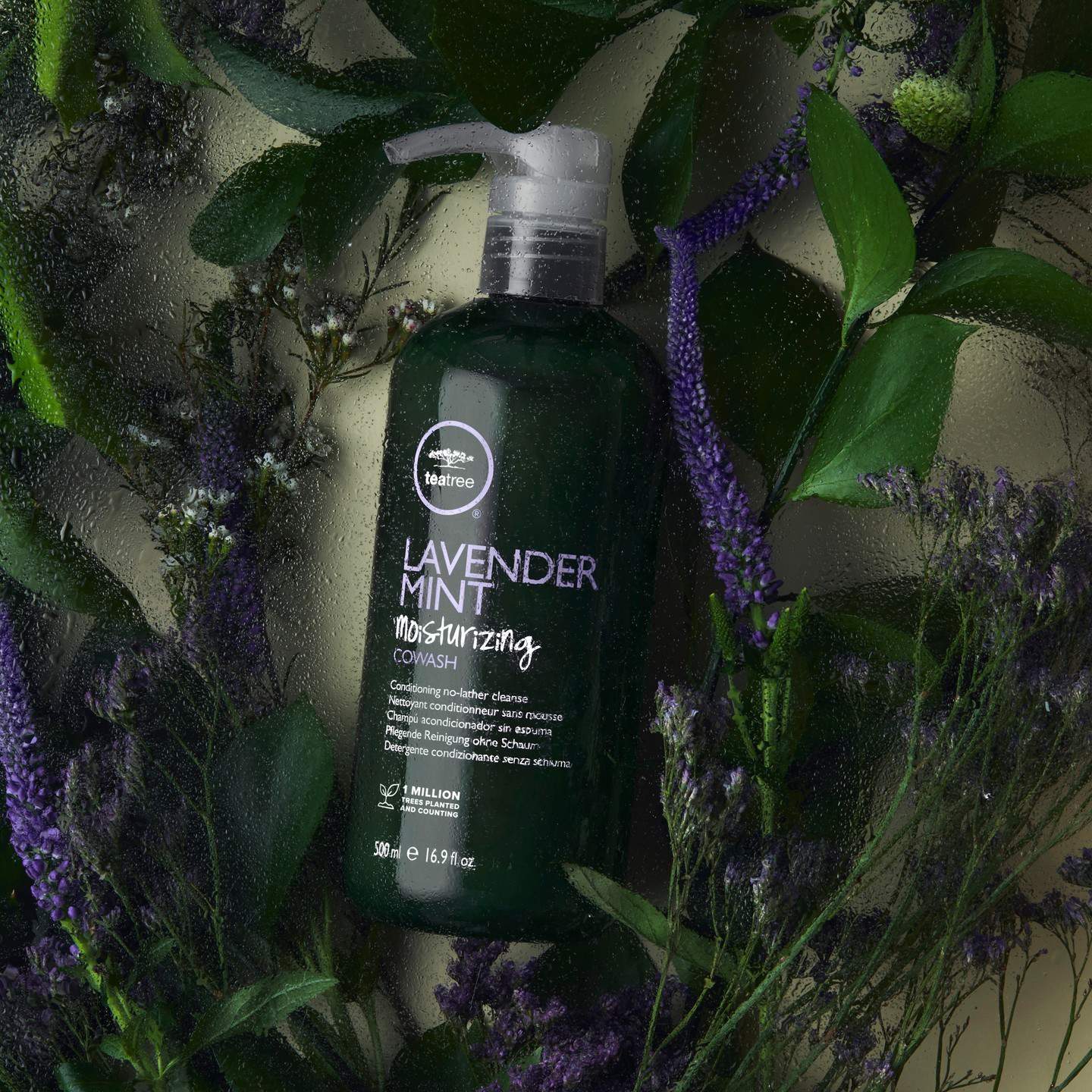 a bottle of lavender mint moisturizing co-wash by tea tree