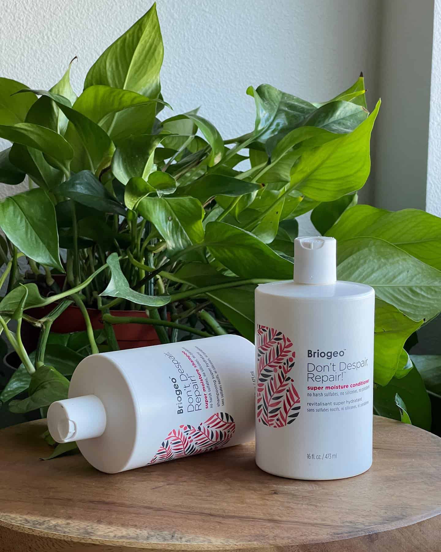 a pair of briogeo shampoo and conditioner