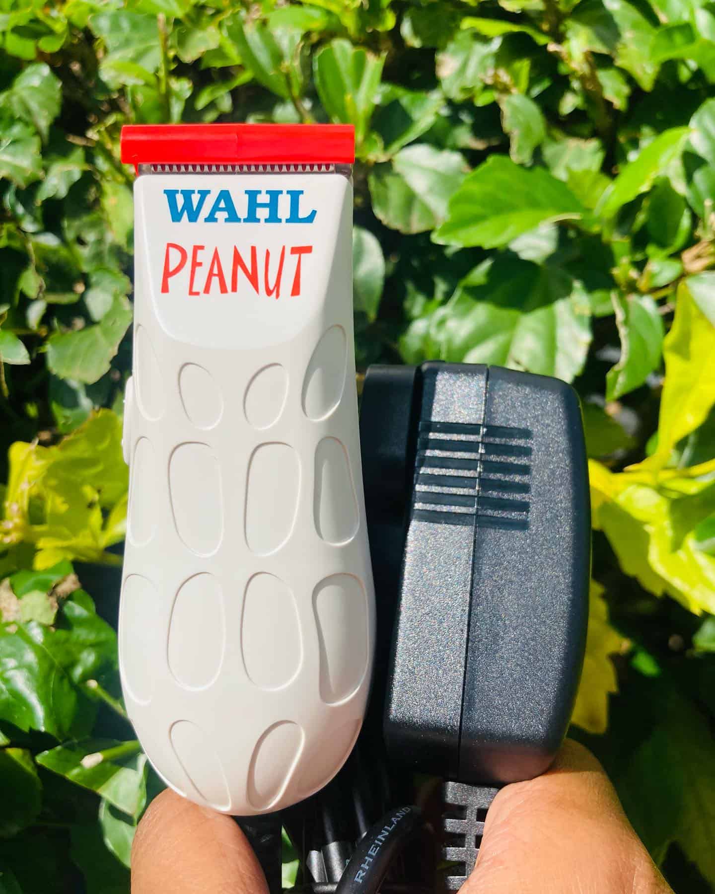 holding a wahl peanut trimmer and power supply