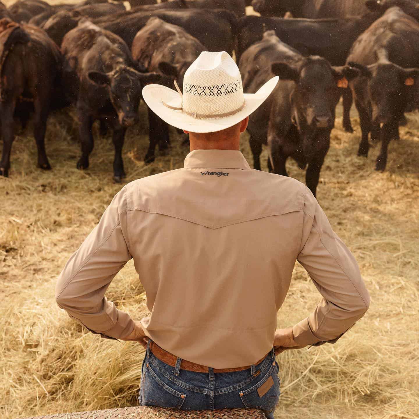 man in a cowboy hat in-front of a herd of cows