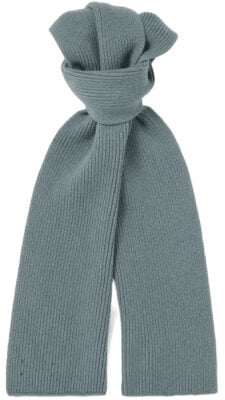 Mr P. Ribbed Scarf