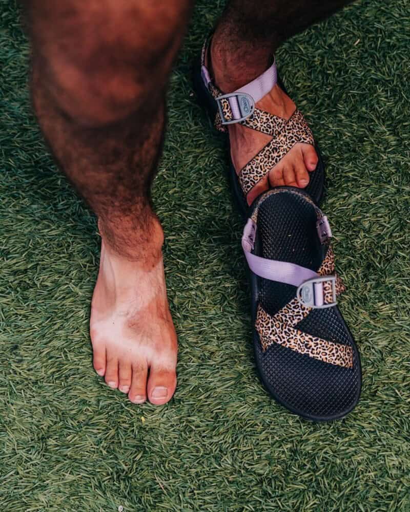 a leopard printed strap Z1 Classic Sandals by Chaco