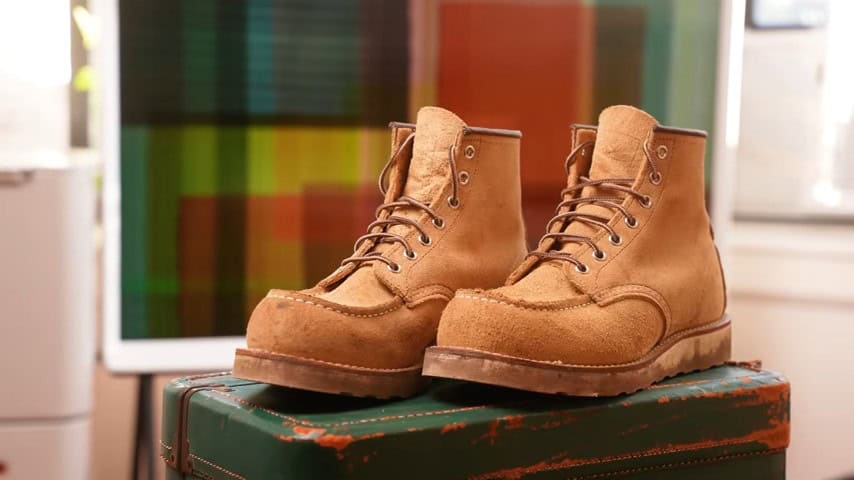 Red Wings 8833