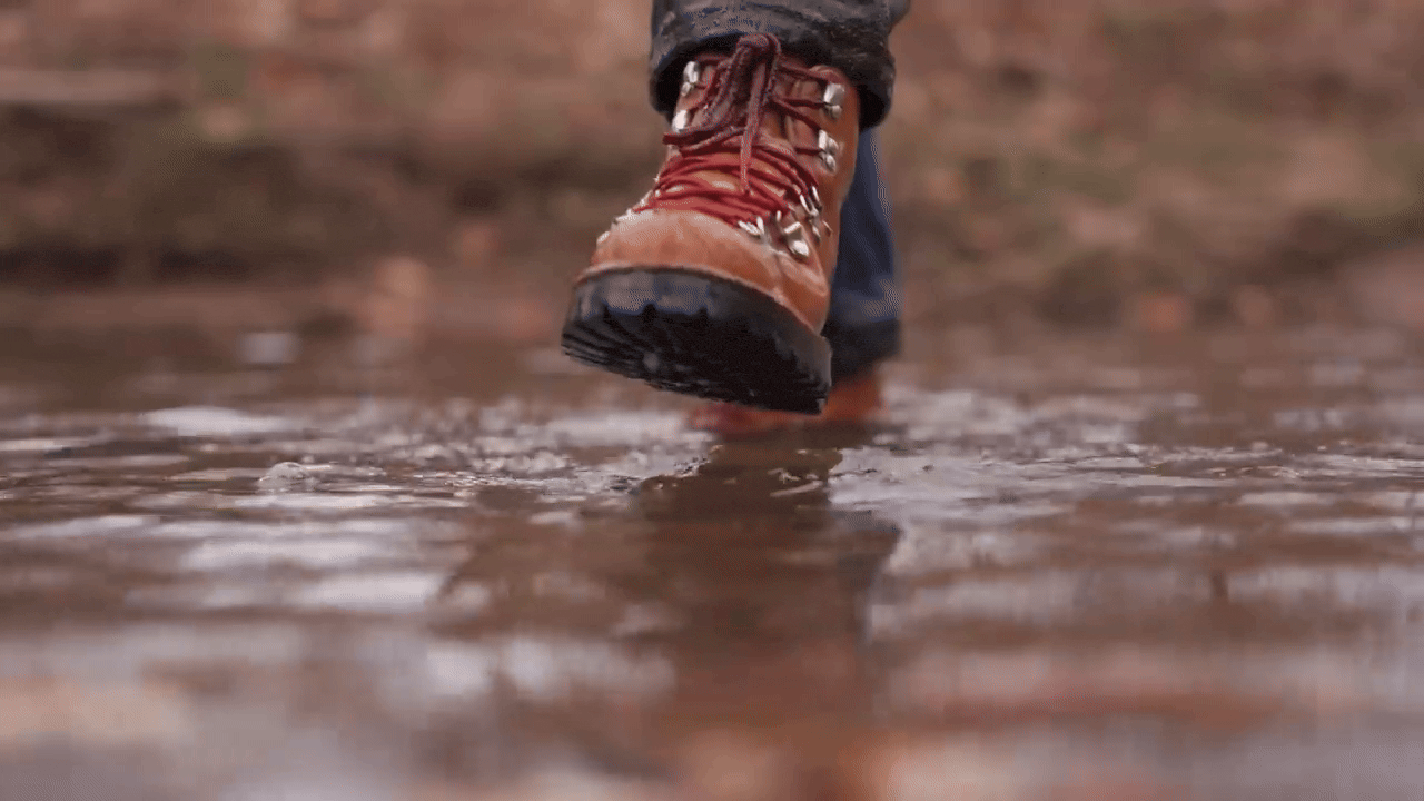 The Gortex