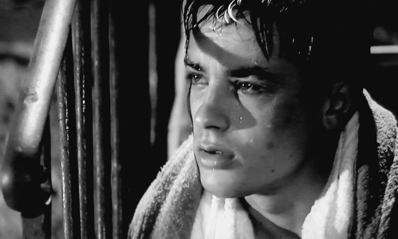 Alain Delon in 1960 Rocco and his brothers by Luchino Visconti
