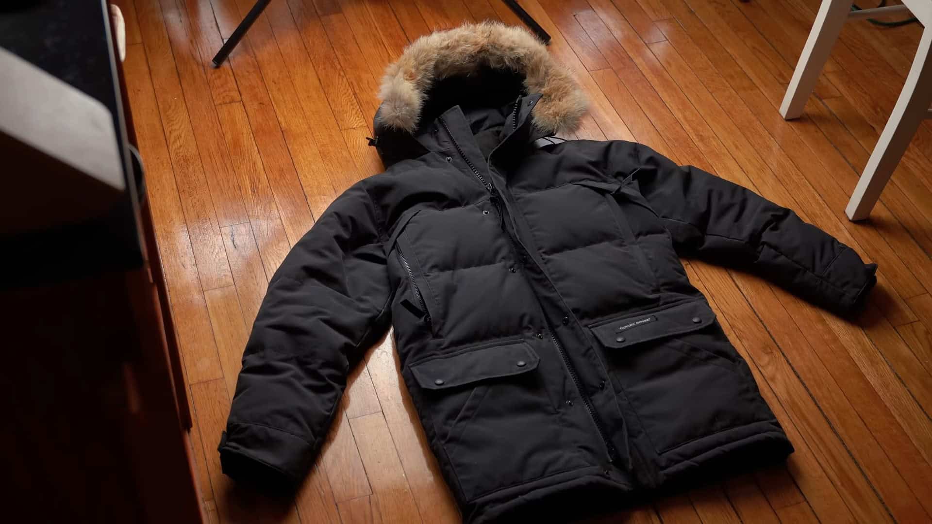 Canada Goose Became Important