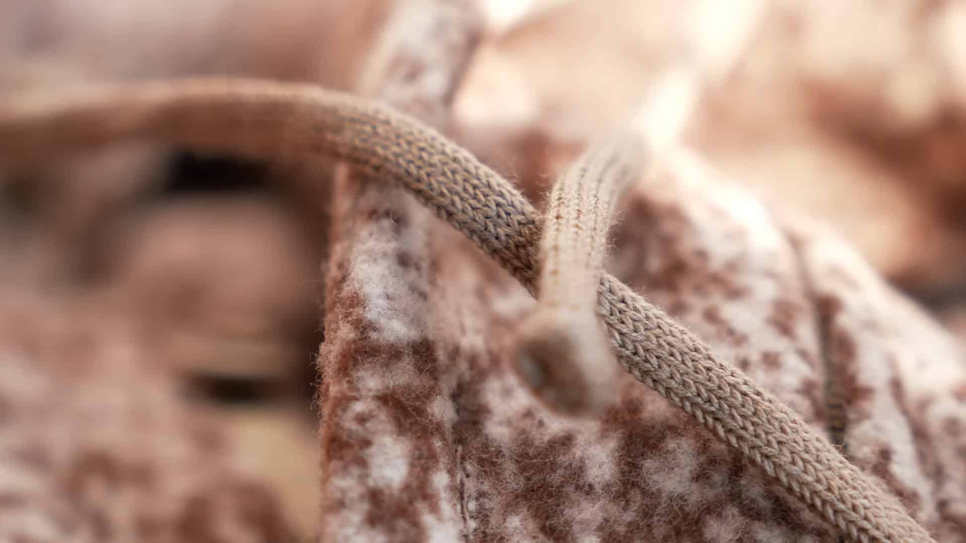 History of WeatherWool's Sheep
