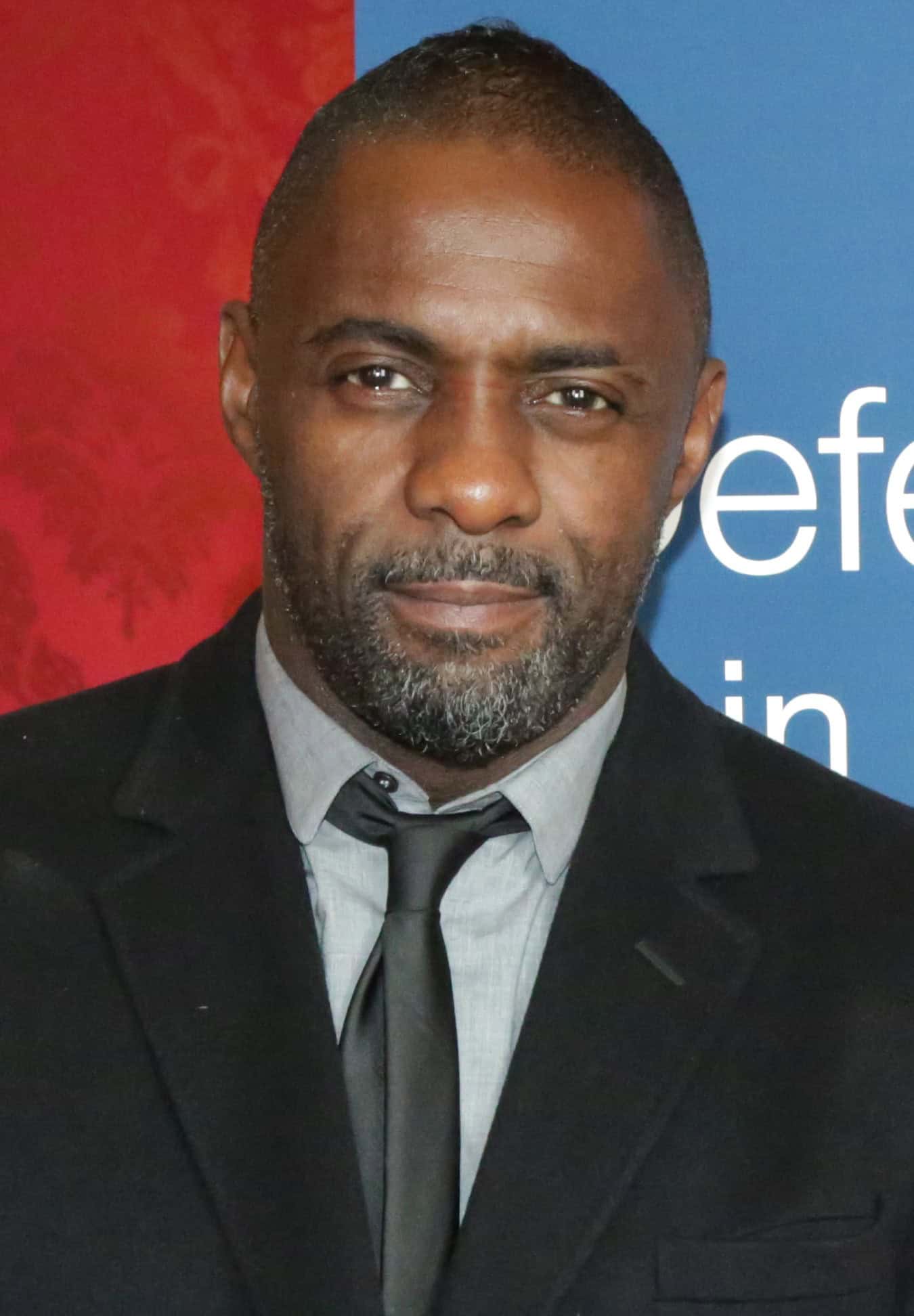 Idris Elba at the Defeating Ebola conference