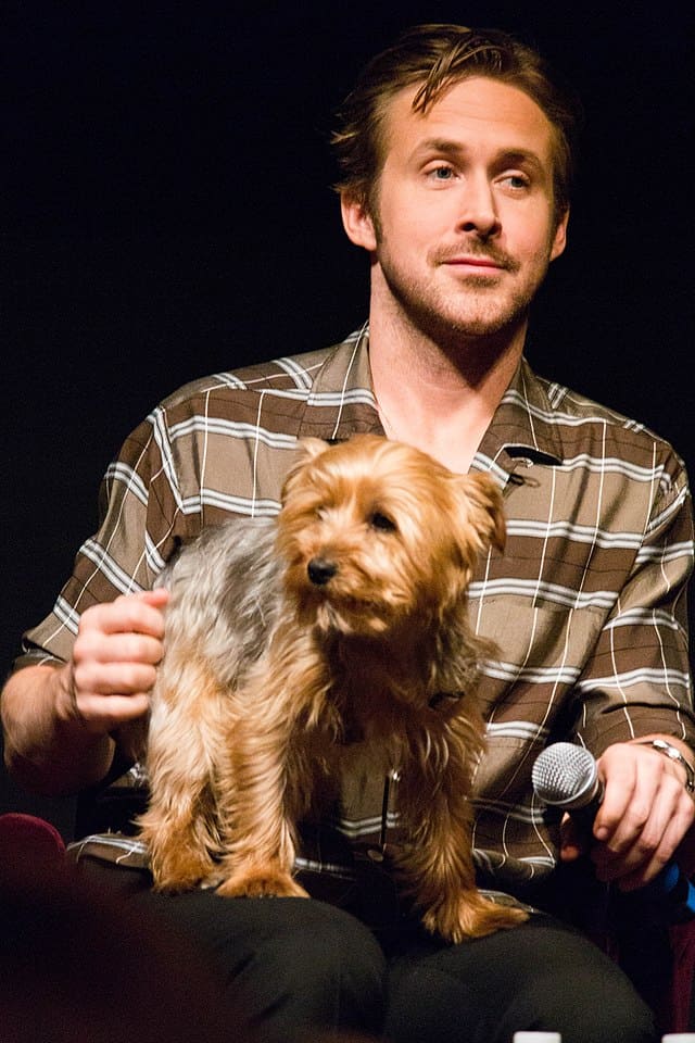 Ryan Gosling sitting on a chair with a dog on his lap