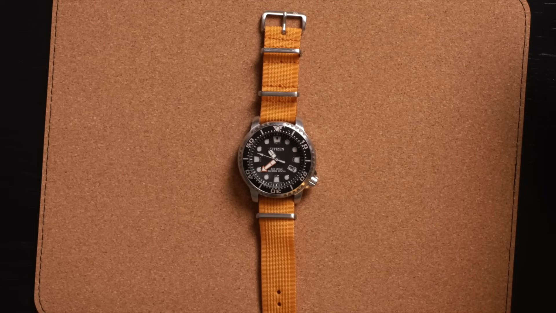 Serious Watches - Citizen Eco Drive Promaster