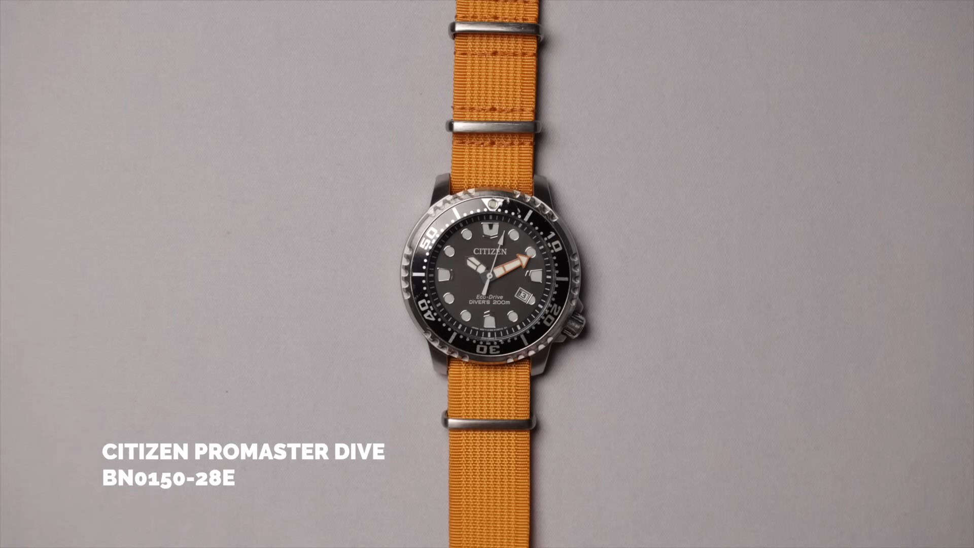 The Dive Watch Squad