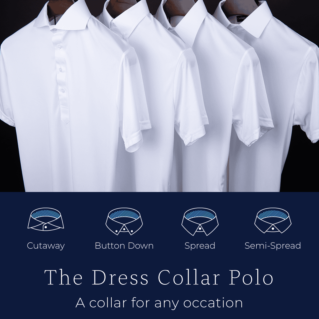 Collars & Co different collar types 