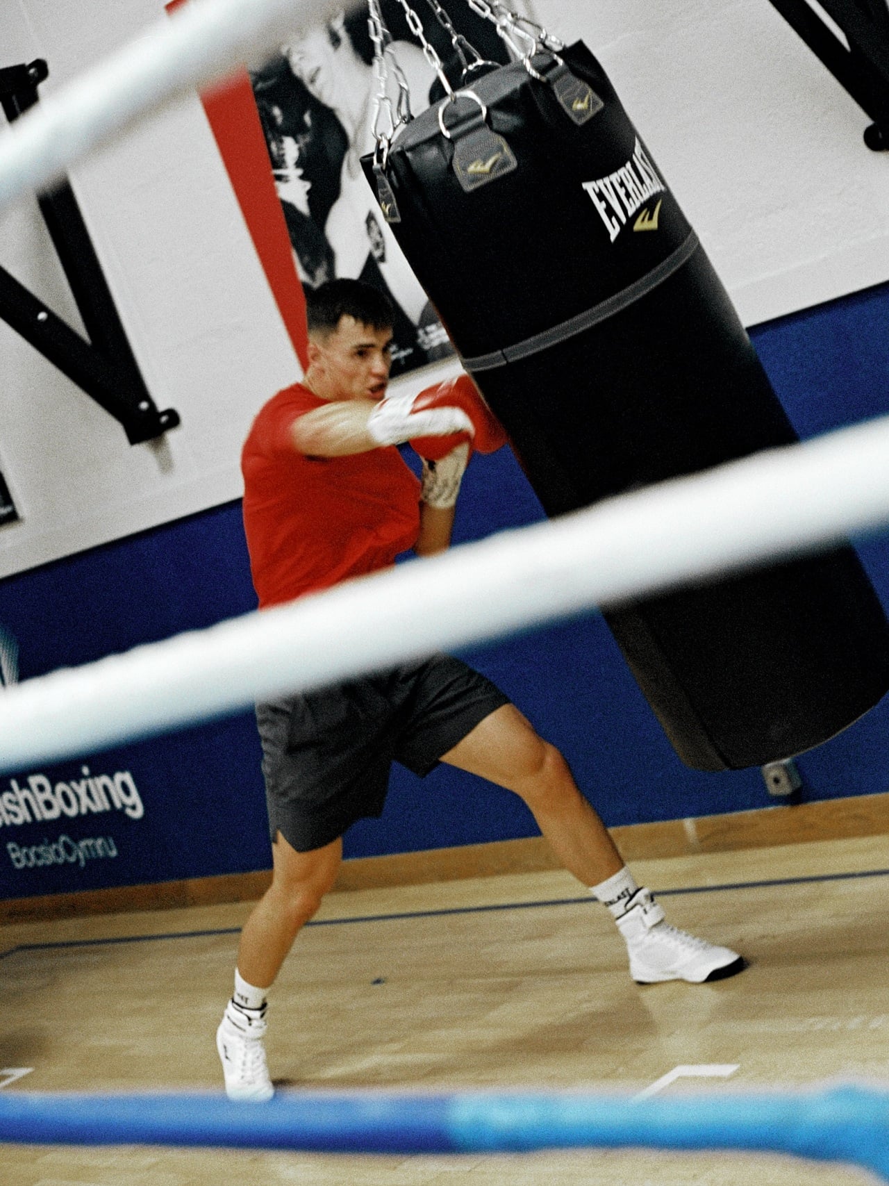 Best Combat Sports Brands - Everlast