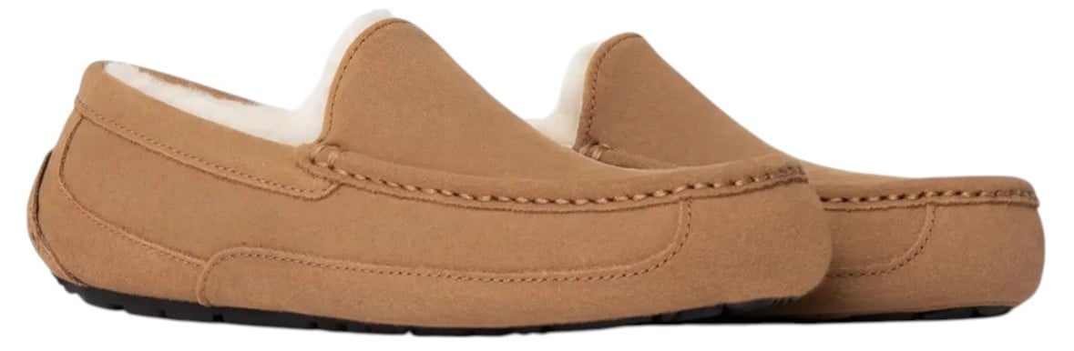 Ugg Ascot Slipper
