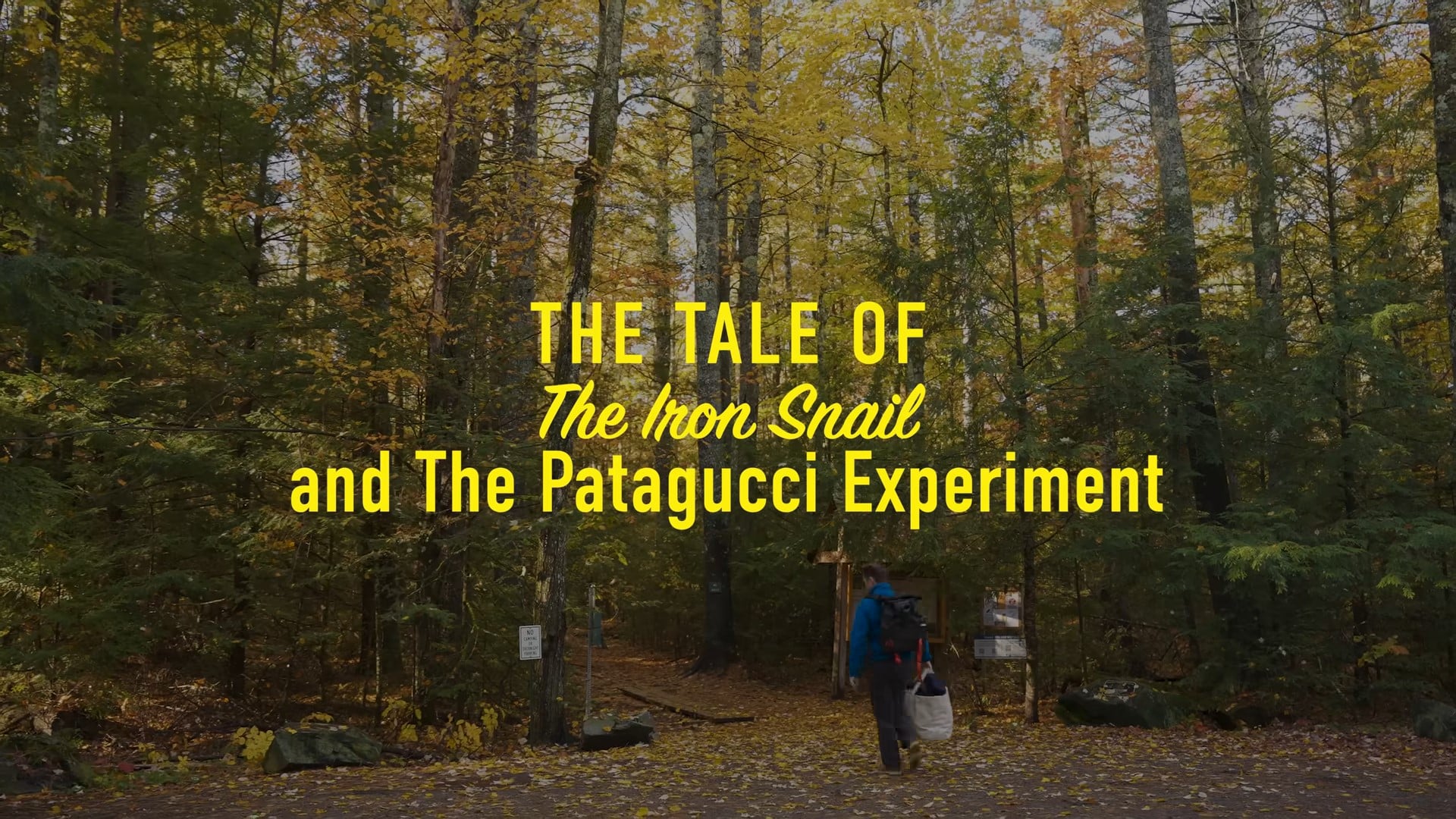 The Patagonia Deep Dive - TIS