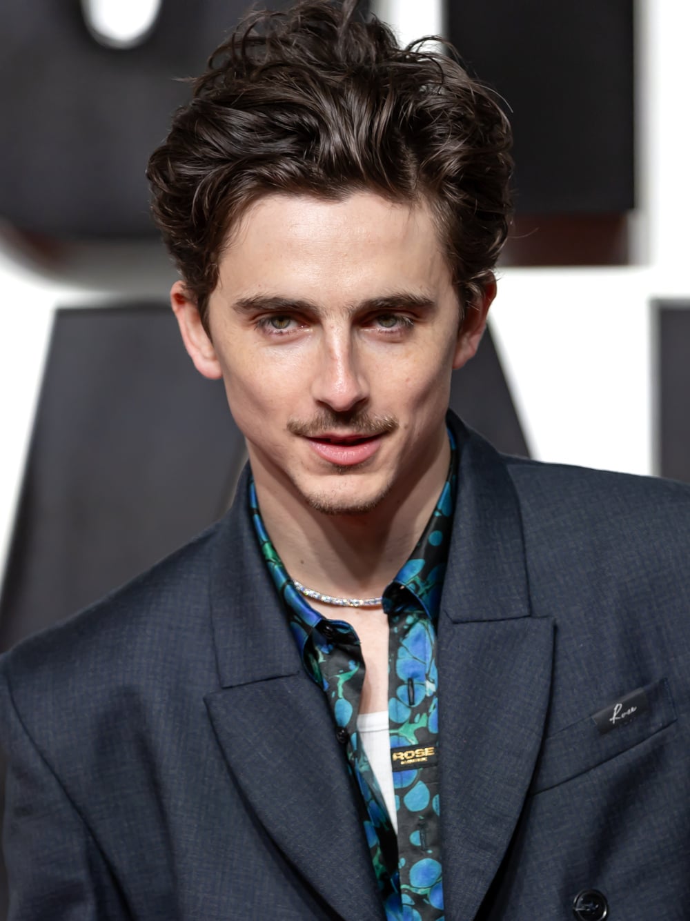 Most Famous Male Actors in Hollywood - Timothée Chalamet