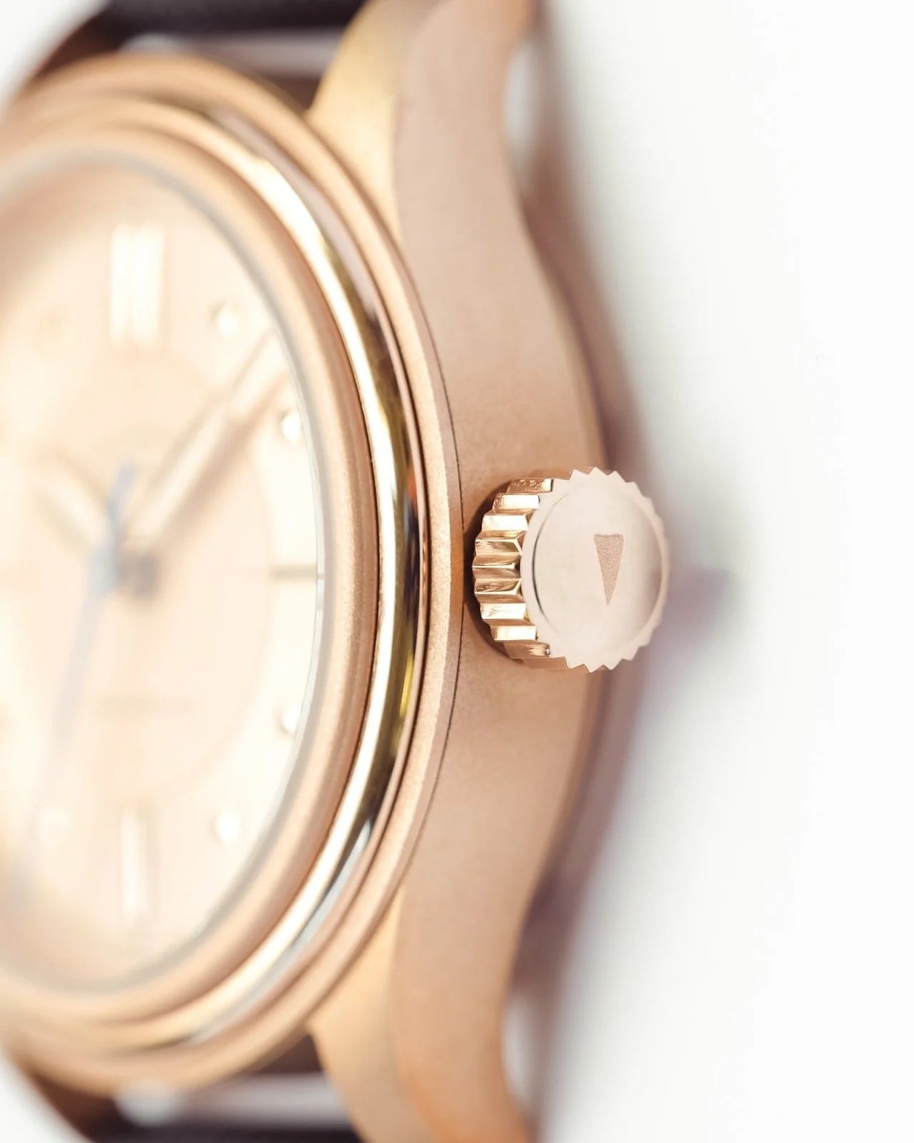 Vero x Wildwood Studio Edition Watch Review